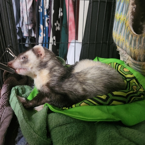 Meet your Posher, Jessica - Picture 15 of 16